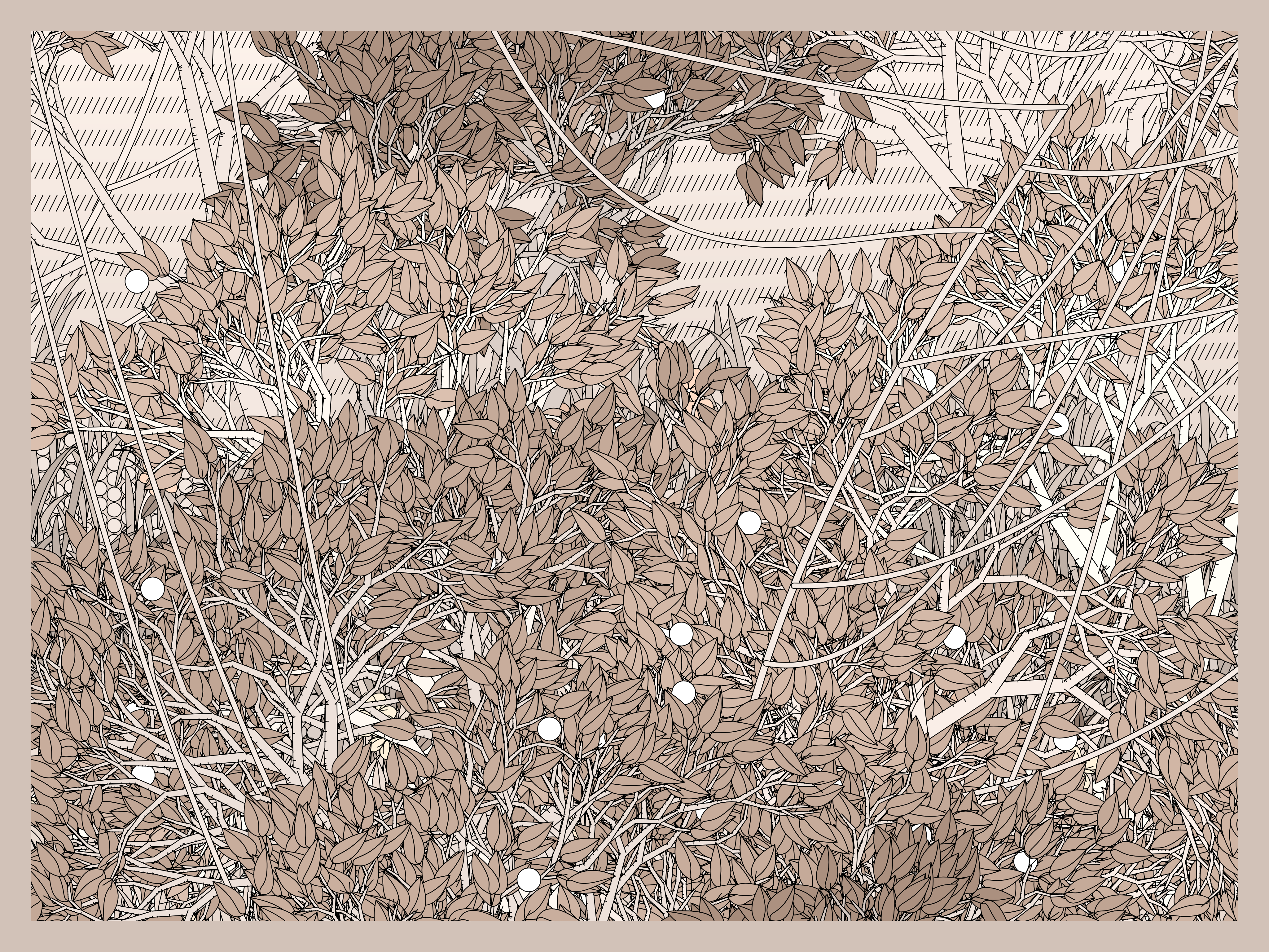 Entangled #15