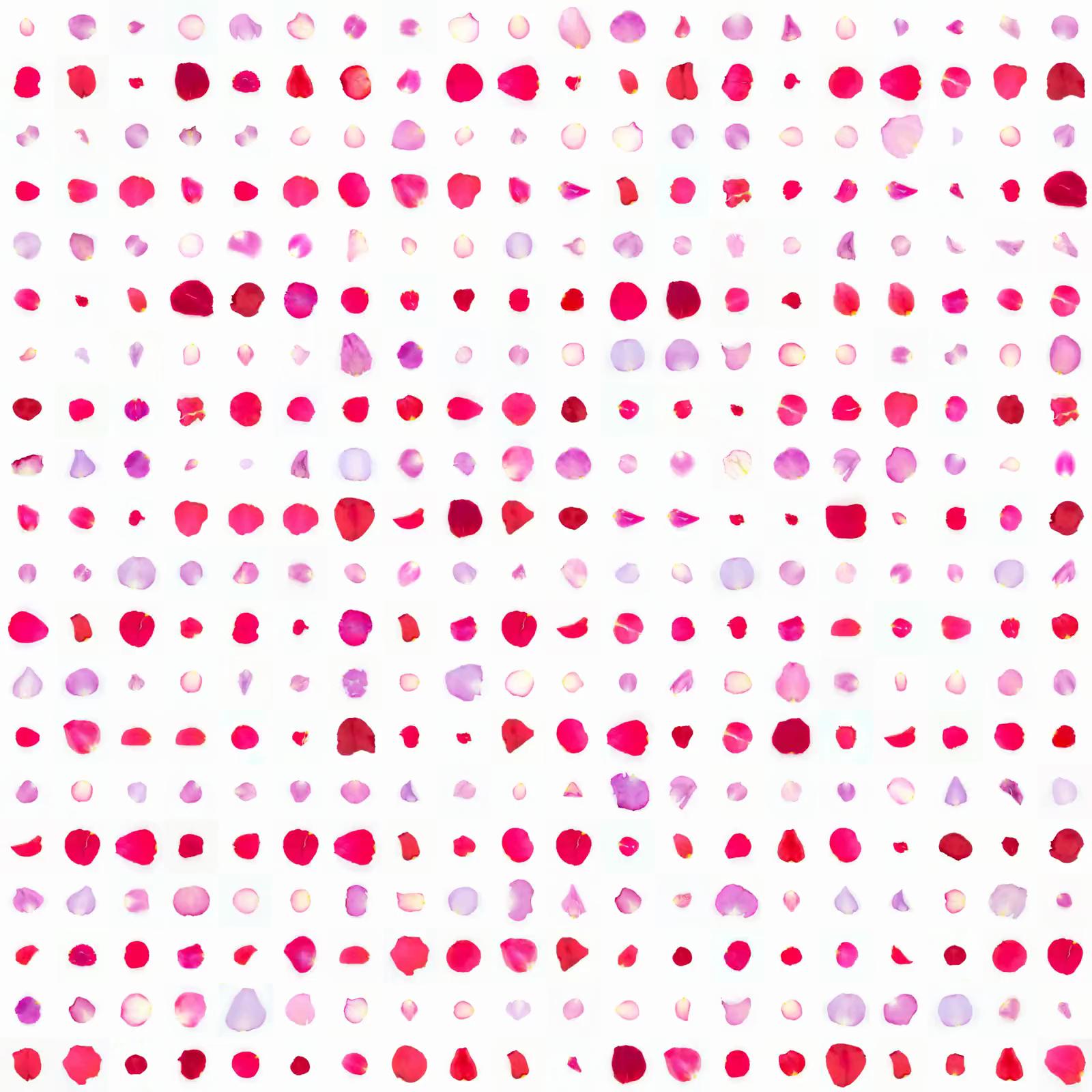 Infinite Petals 20x20#13447
