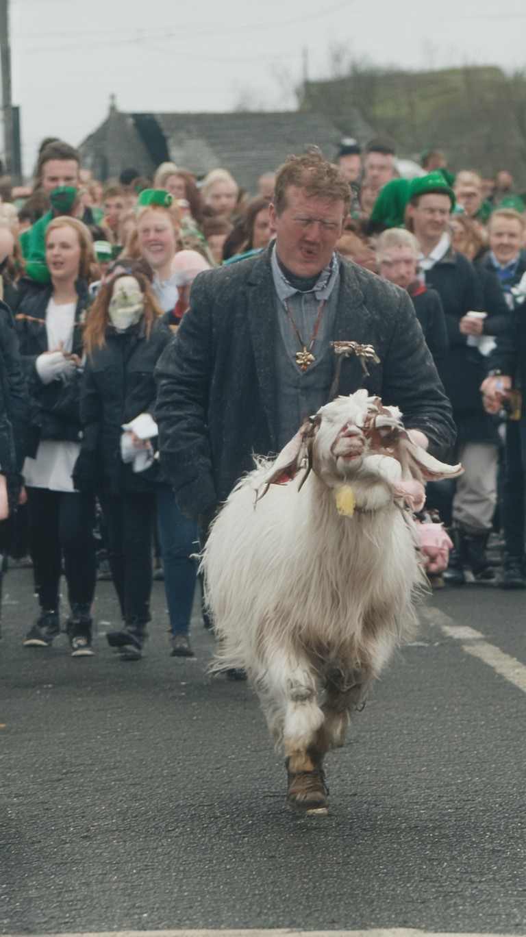 Joey the Goat's St. Patrick's Day Escapade