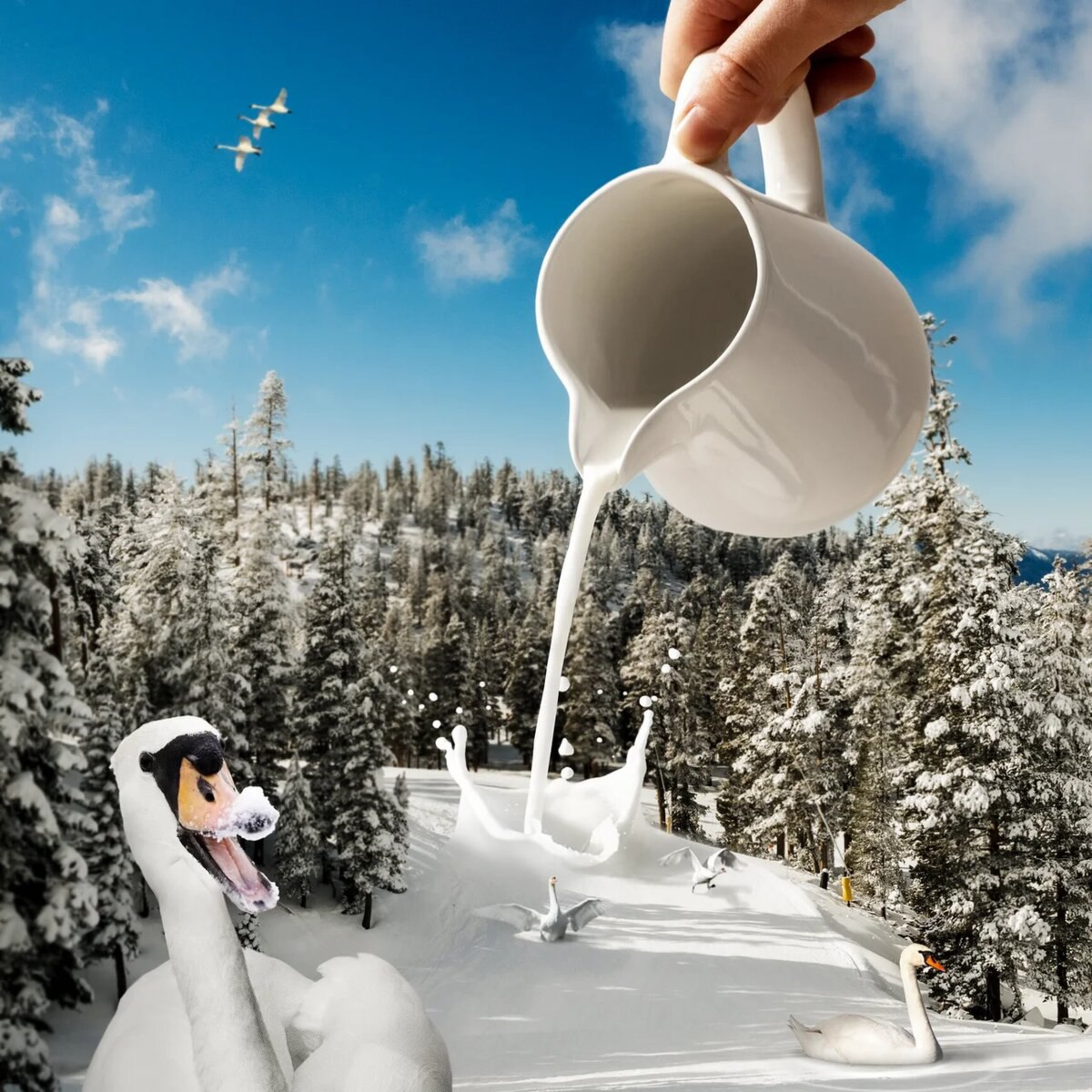 Milk