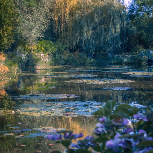 The artist's garden