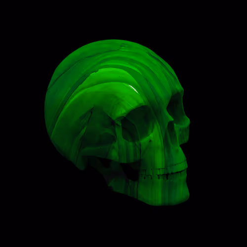 Skulls By Pierre #98