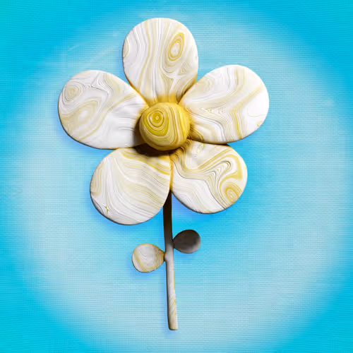 Common Daisy