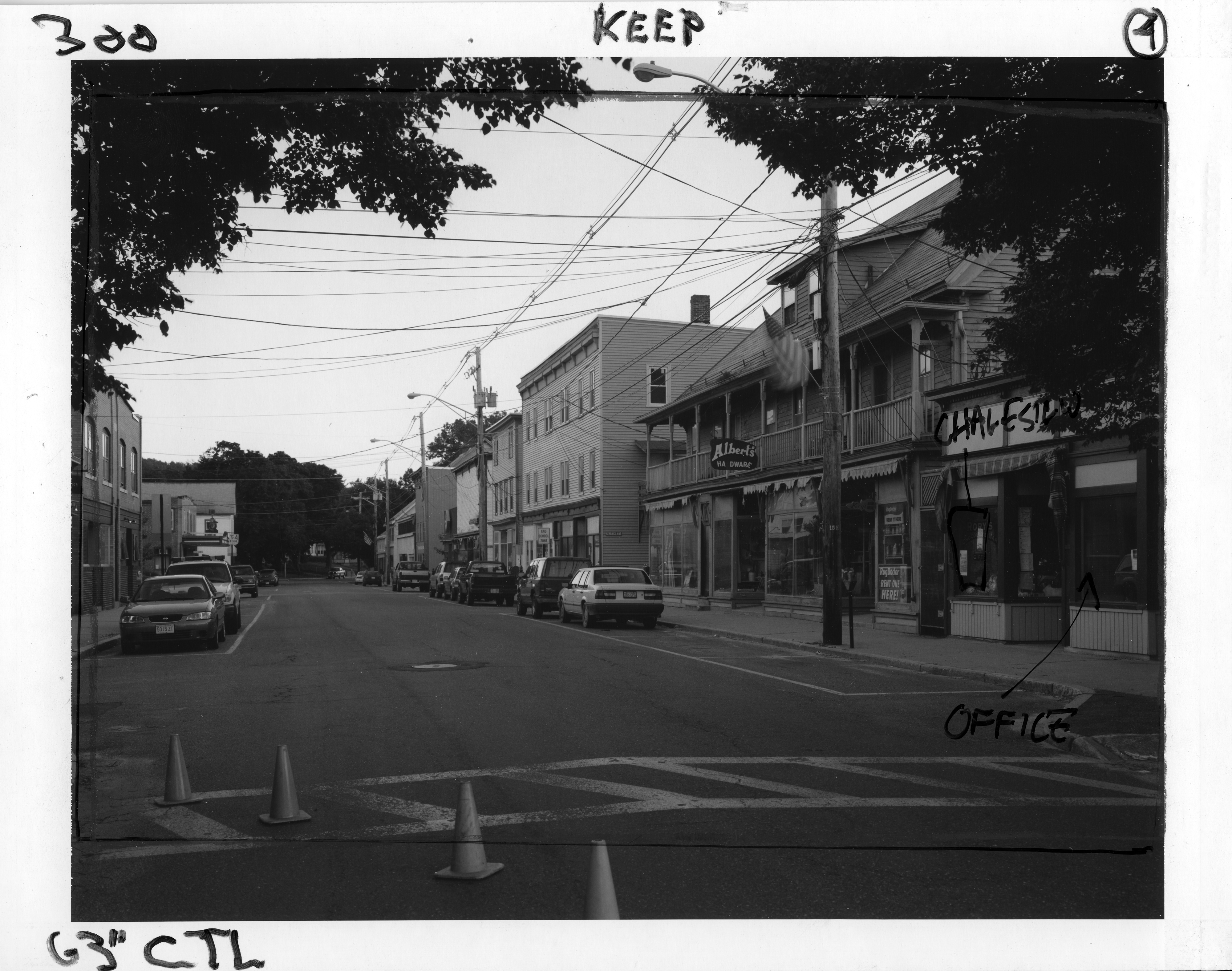 Beneath the Roses, 2003-2008 [Summer Rain Bundle] 8 x 10 Black and White Polaroid Study [No. 2]