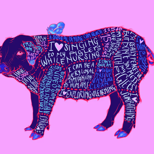 Pig