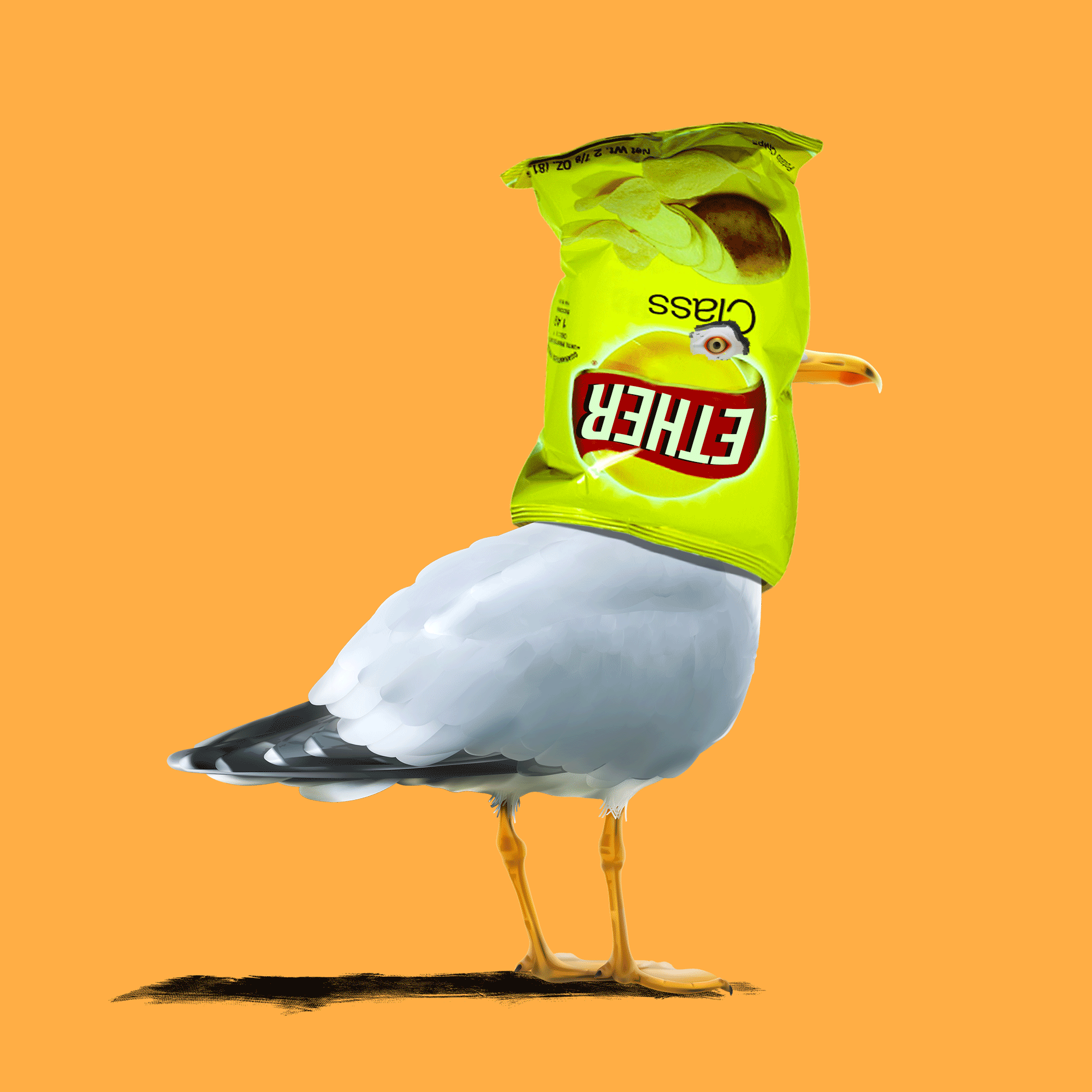 Trash Talking Seagull