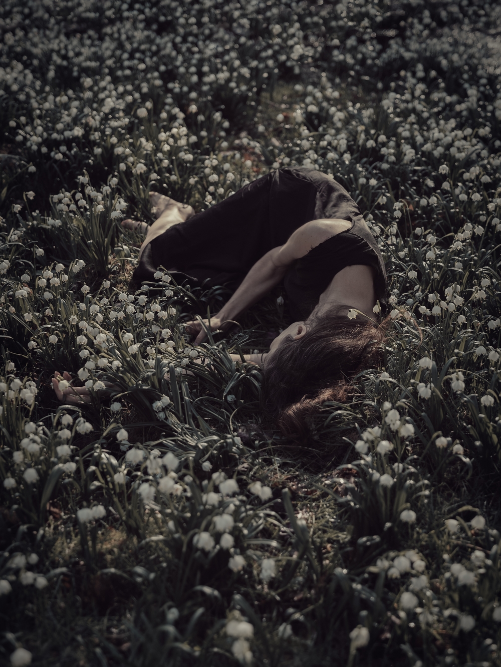 Saint Agnes' Flower