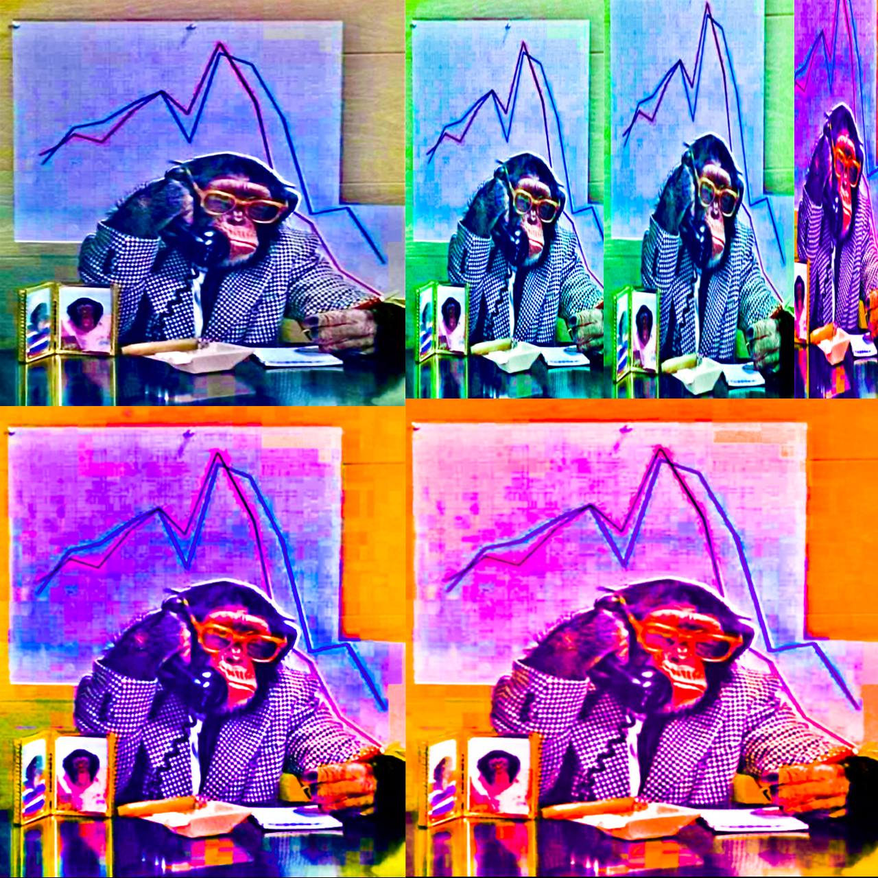 Monkey Trader, 2022