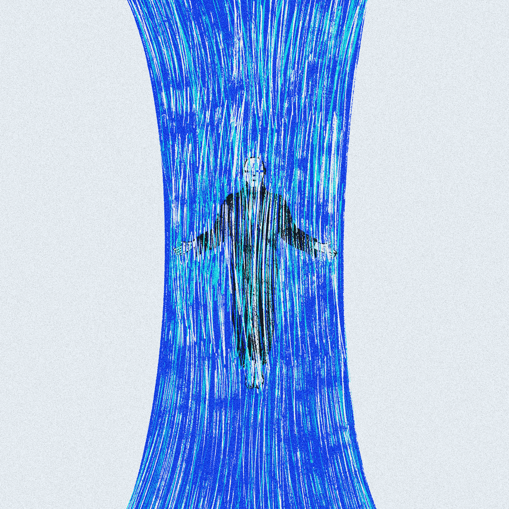 the_ascension