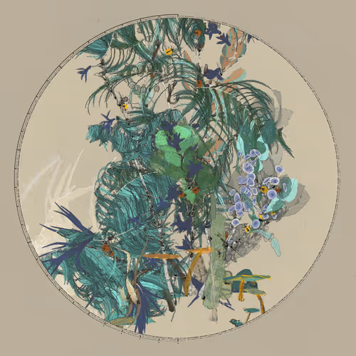 Polypaths | 植徑集 #106