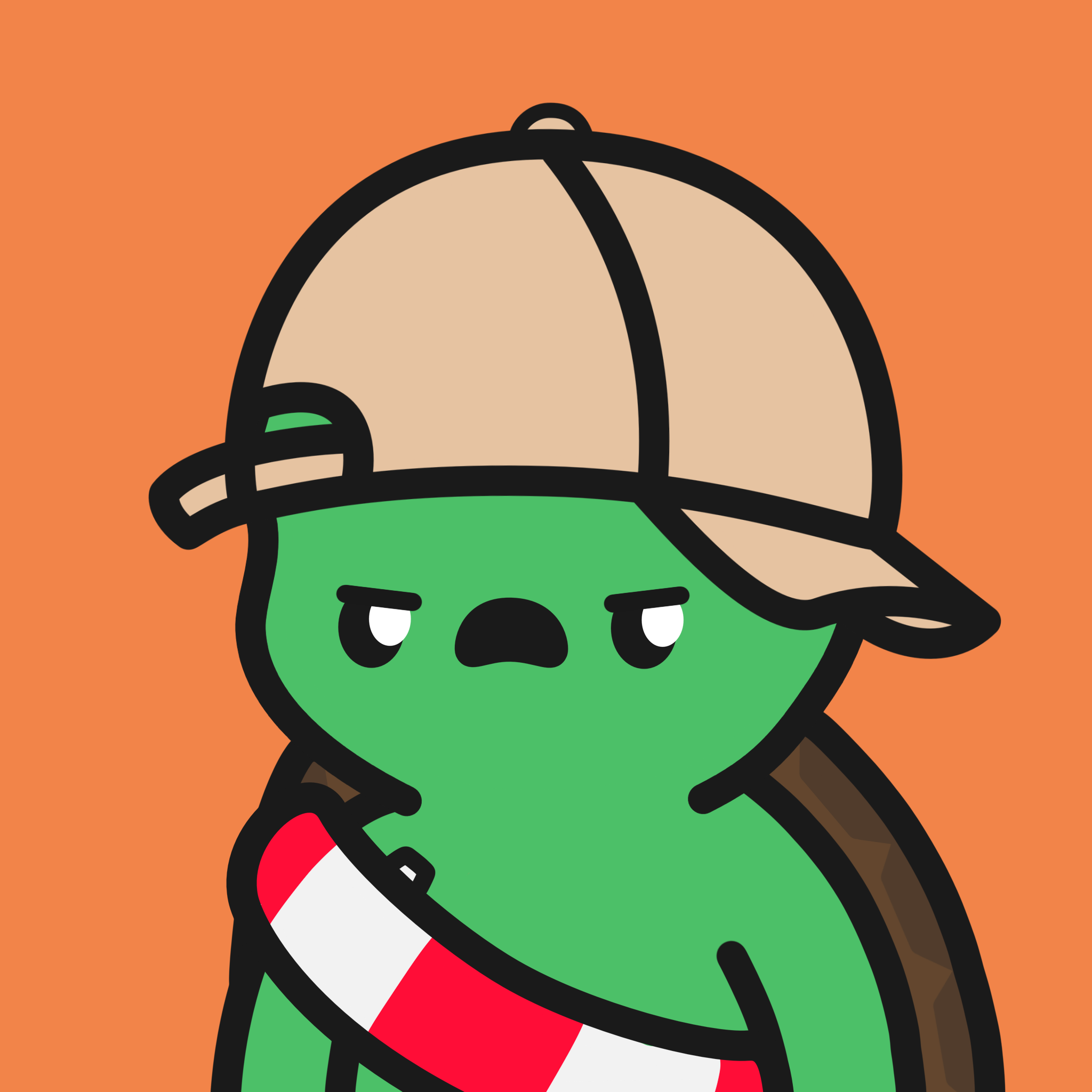 Turtle Town #1365