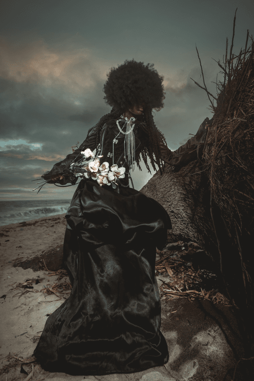 Black Maria