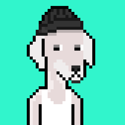 ViralataFunk #3897
