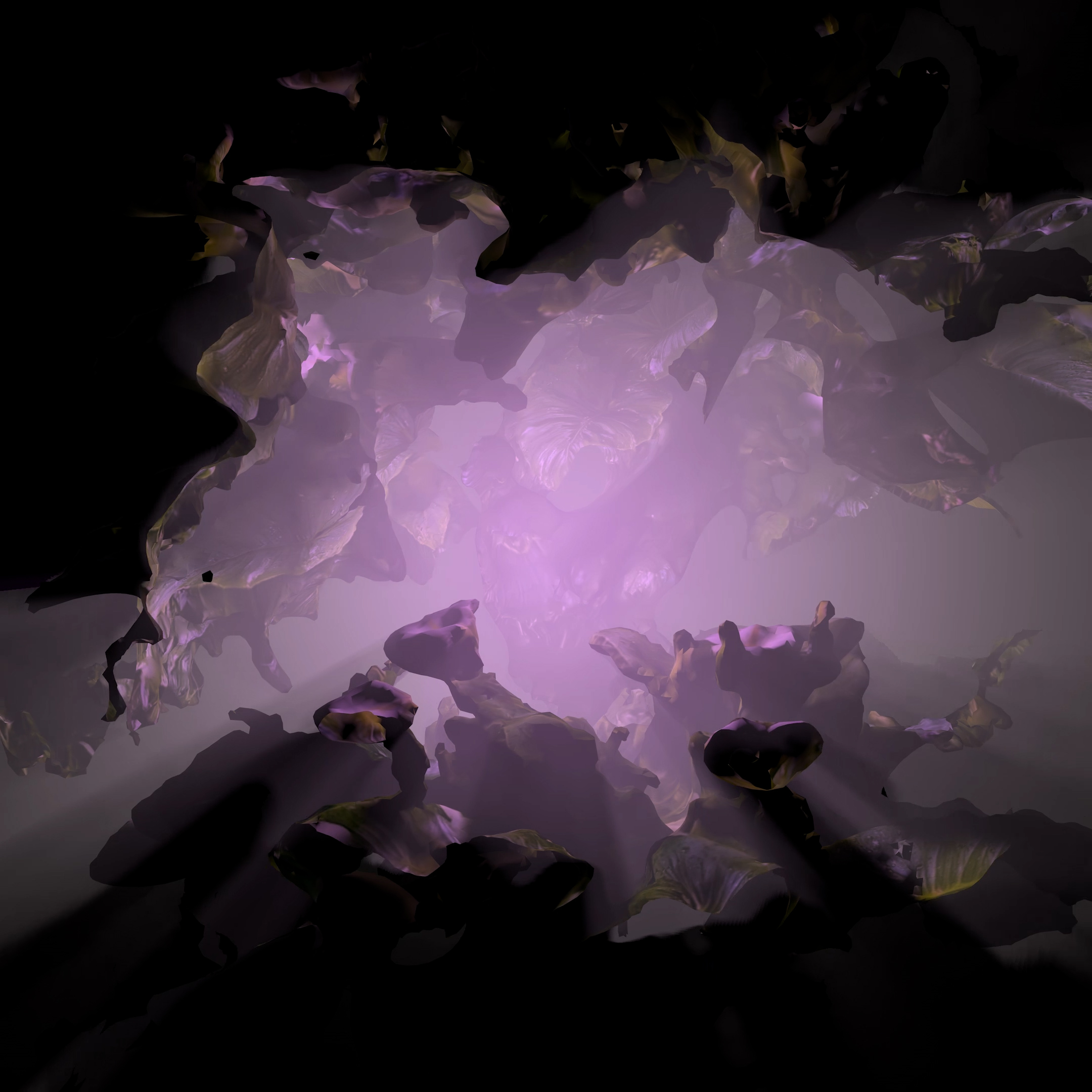BLOOMCORE #16
