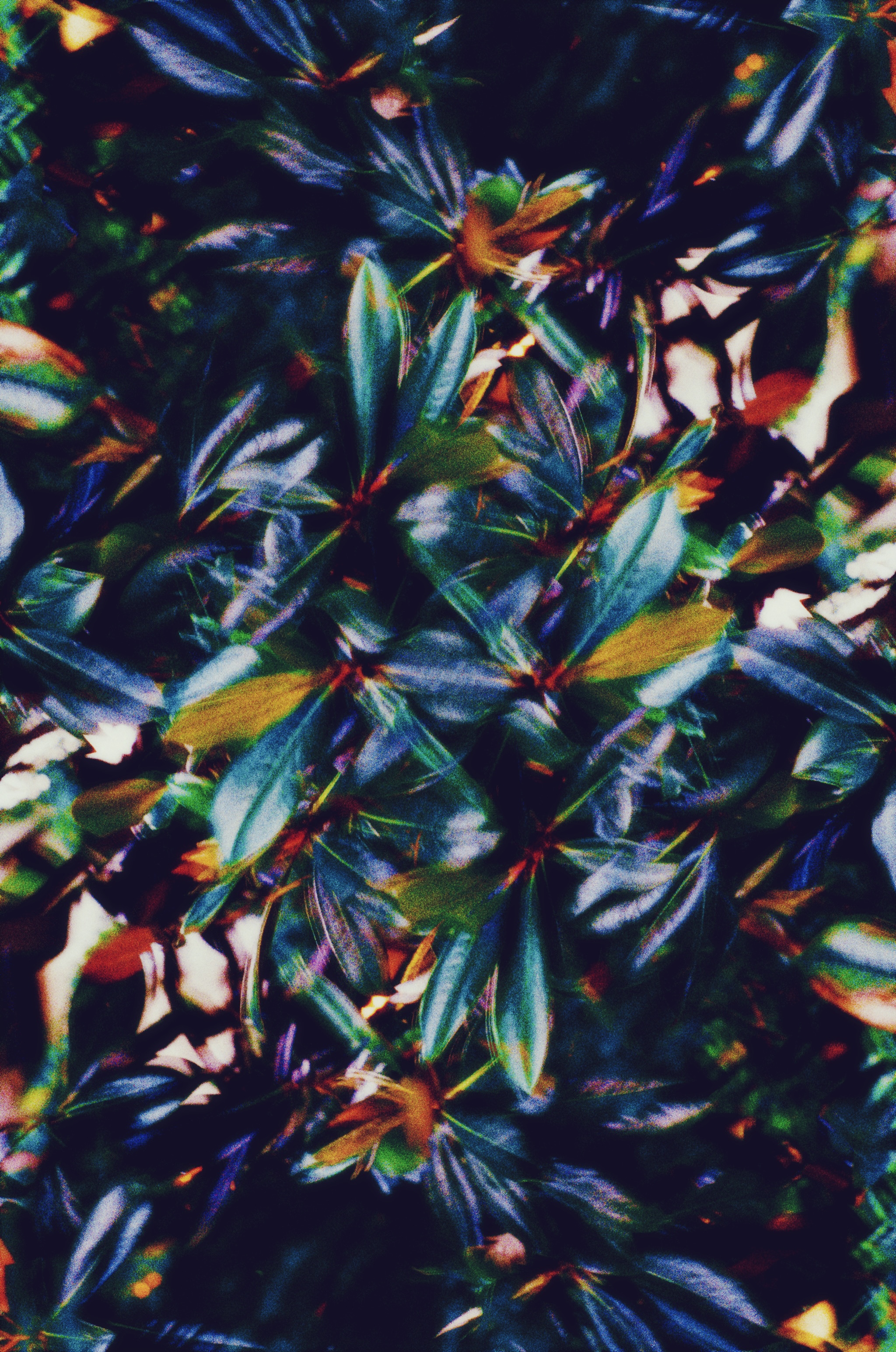 CHROMA