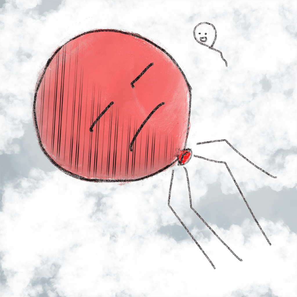 Luftballon 8588