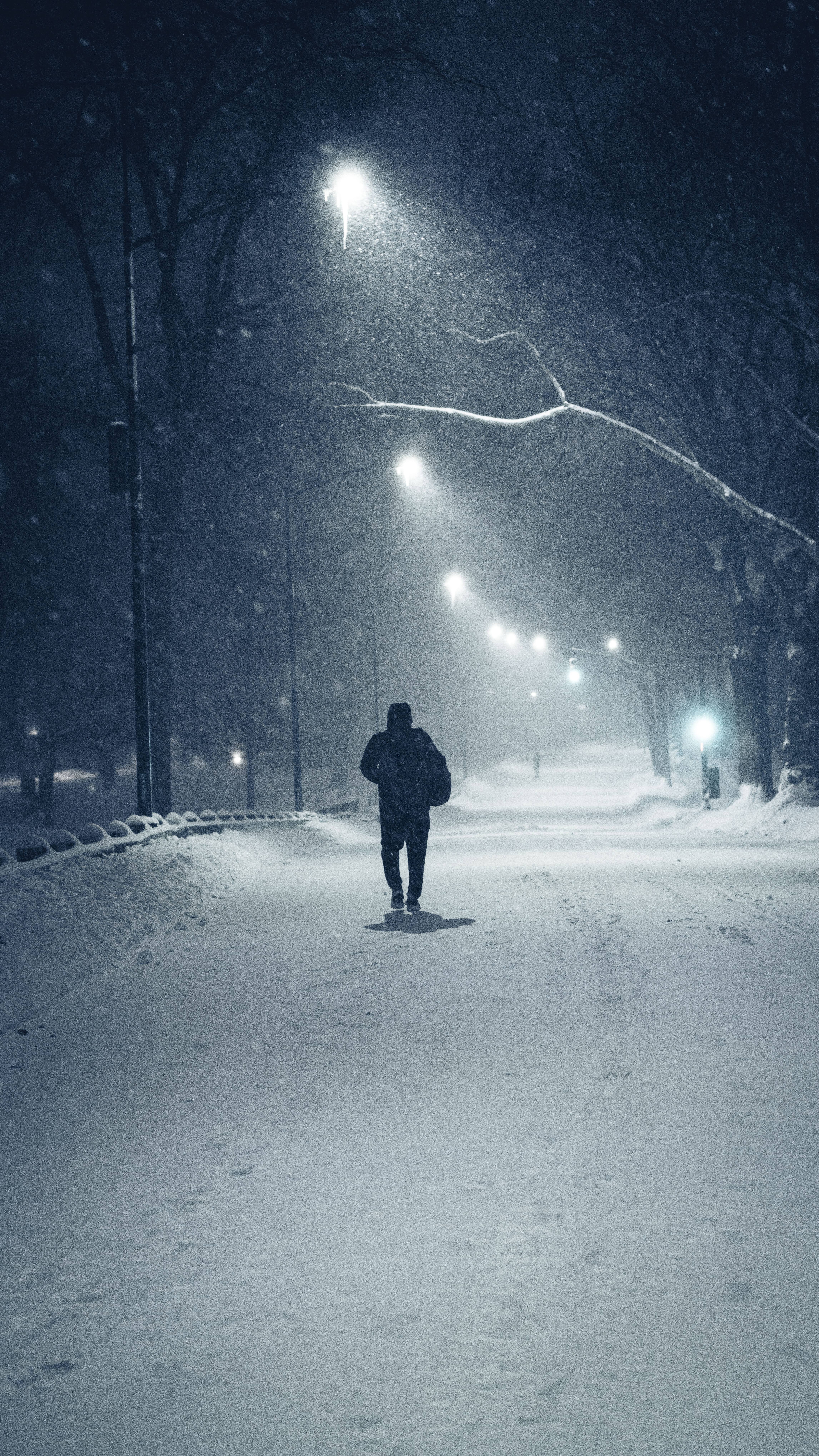Snow Days In NYC - 20