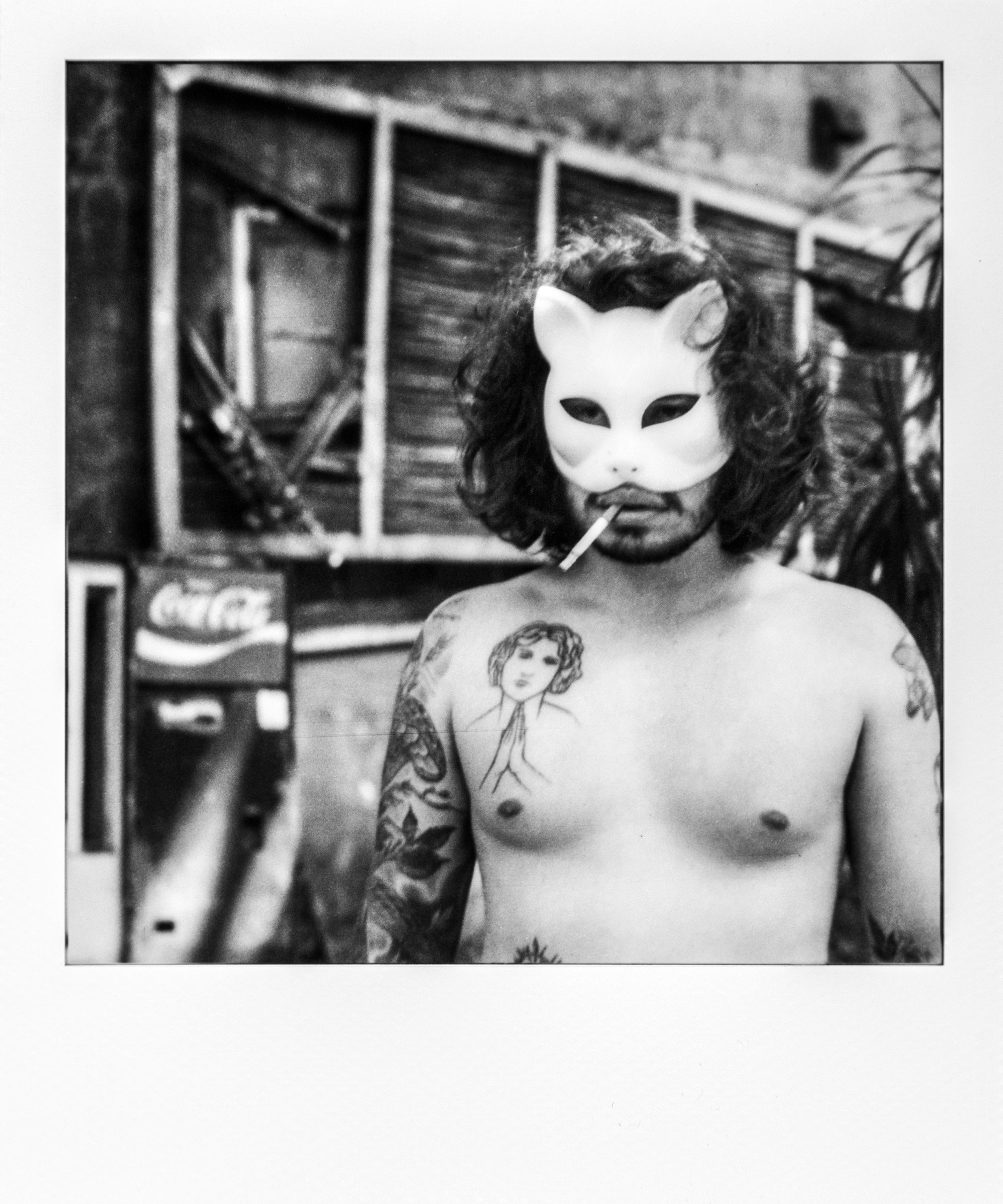 Gummo Land 40