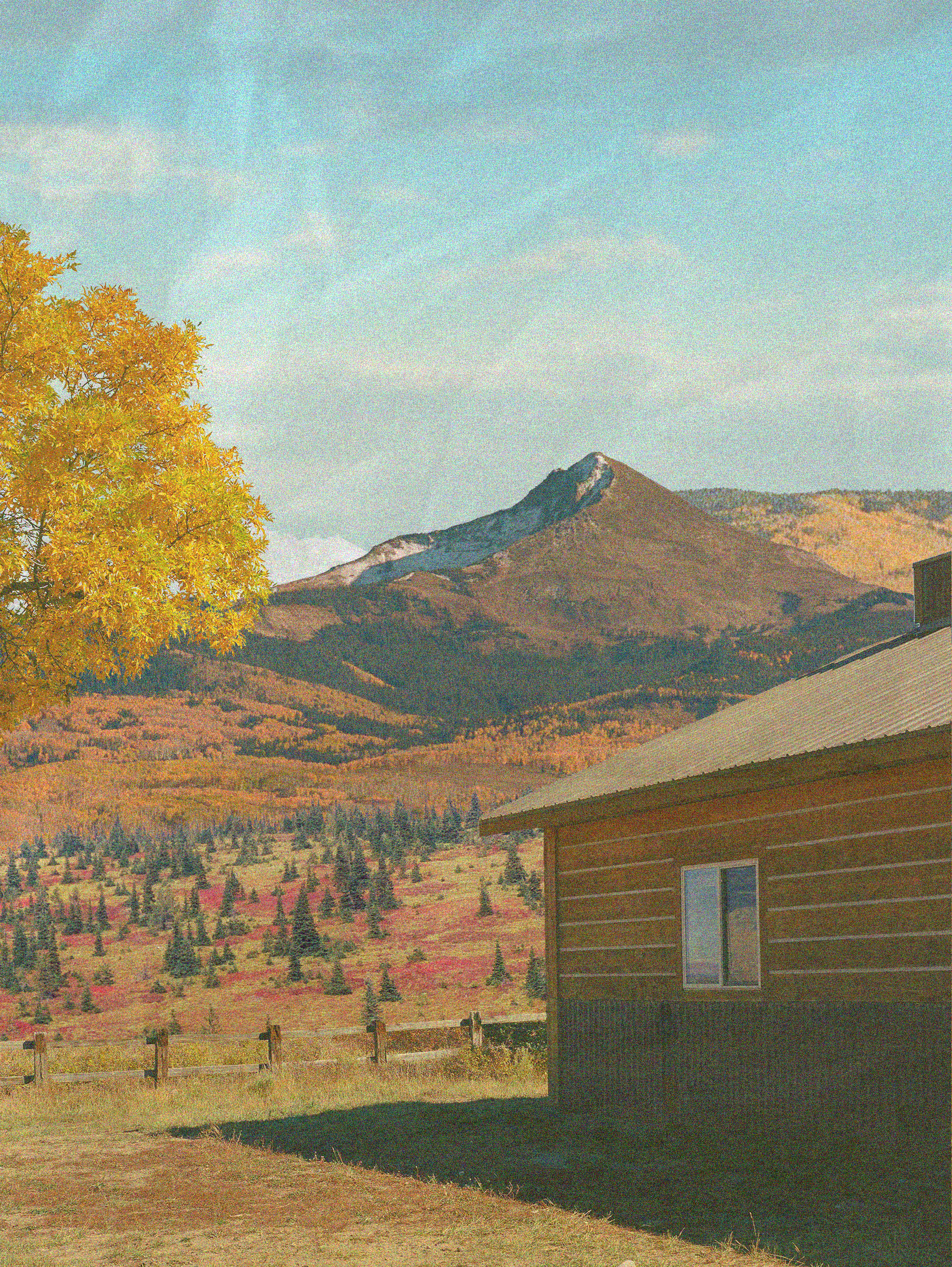 Autumn Morning