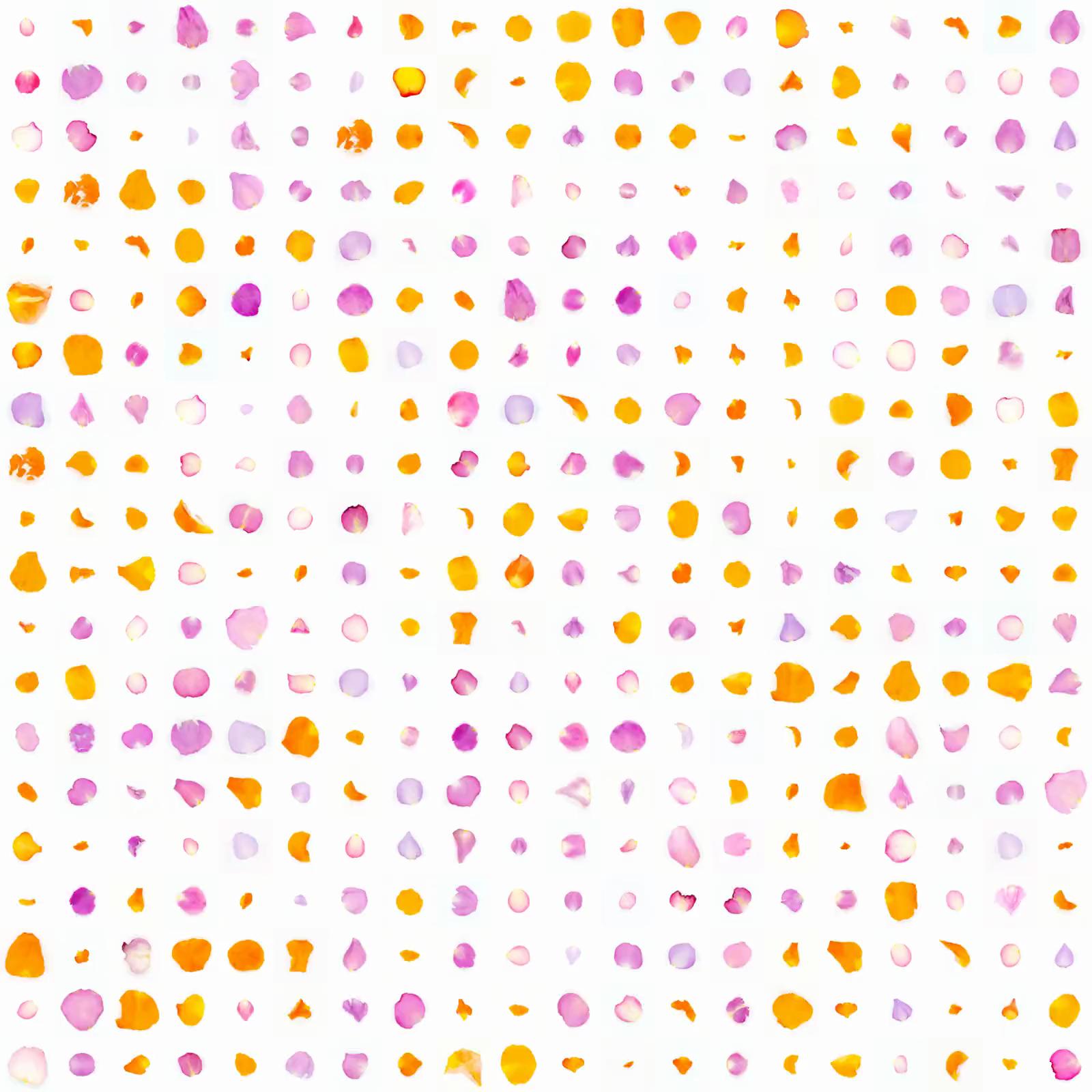 Infinite Petals 20x20#2907