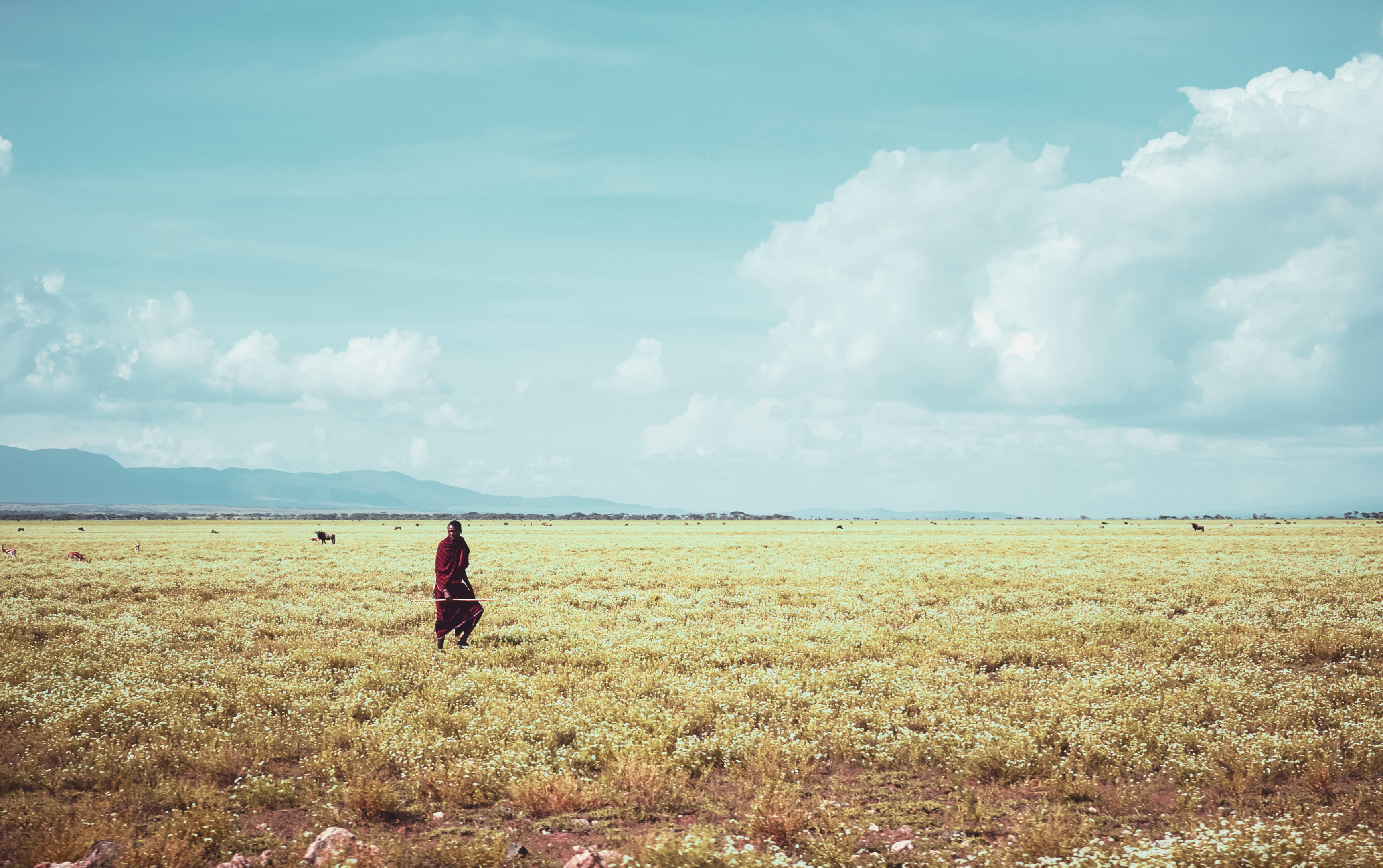 THE TRAVELSCAPES. Great Planes. Ngorongoro, Tanzania.