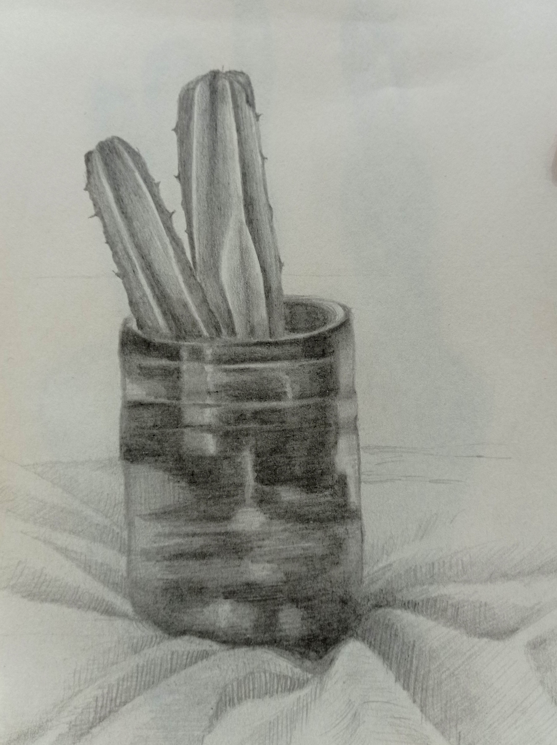 drawing o6