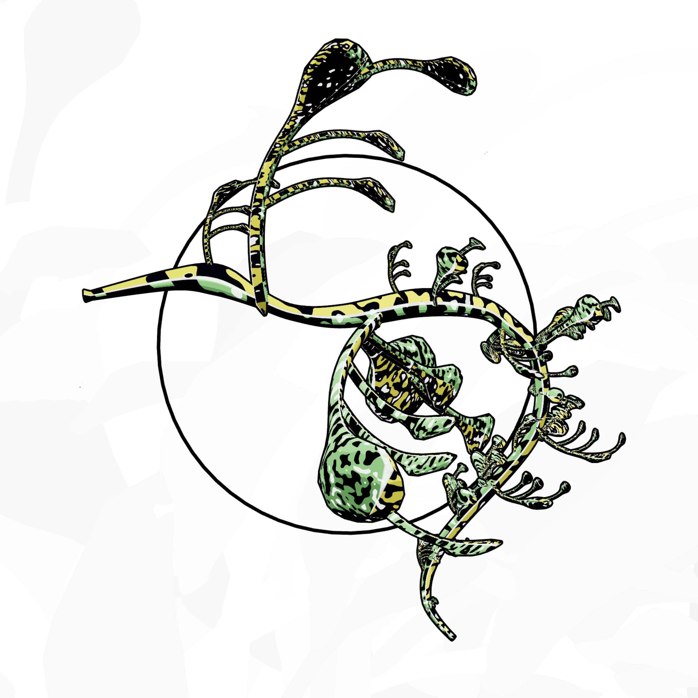 Seadragons #802