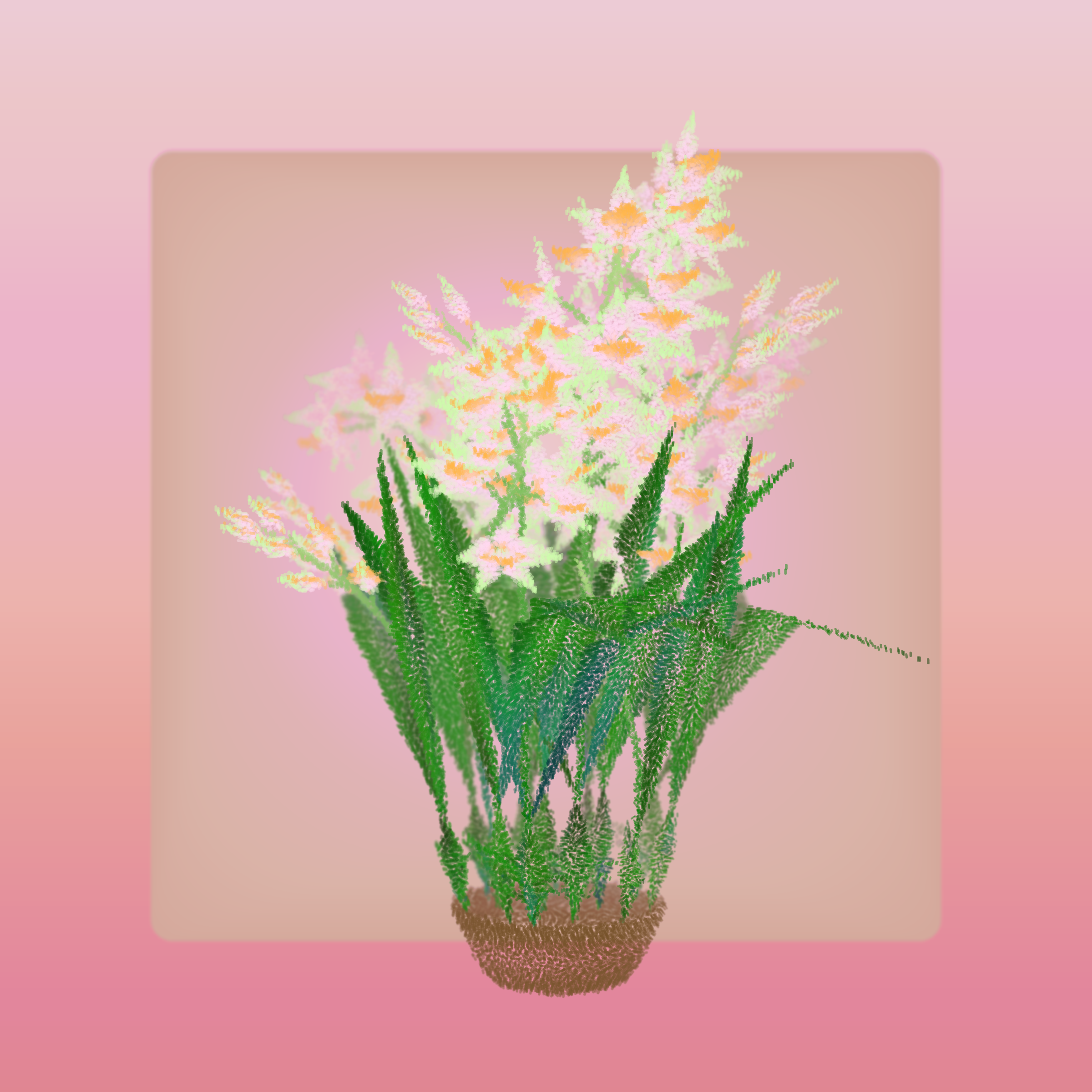 Cattleya #204