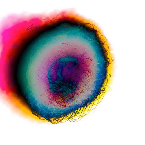 Ojo