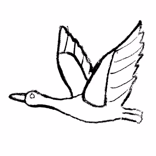 Goose 
