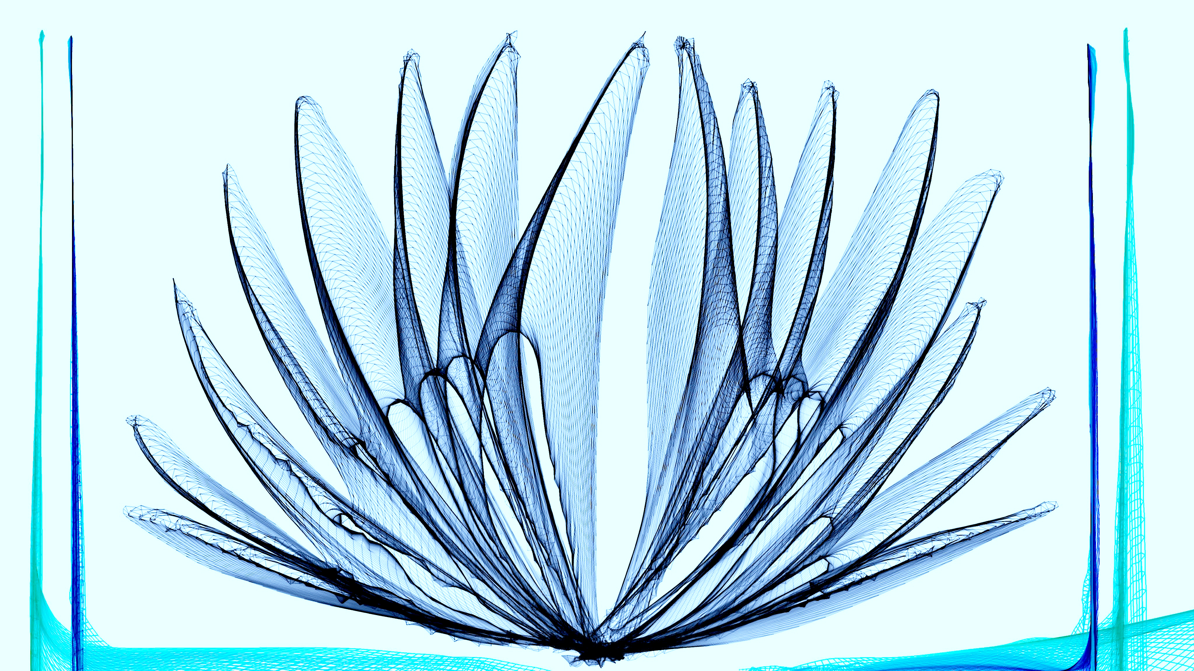Fairy Wings