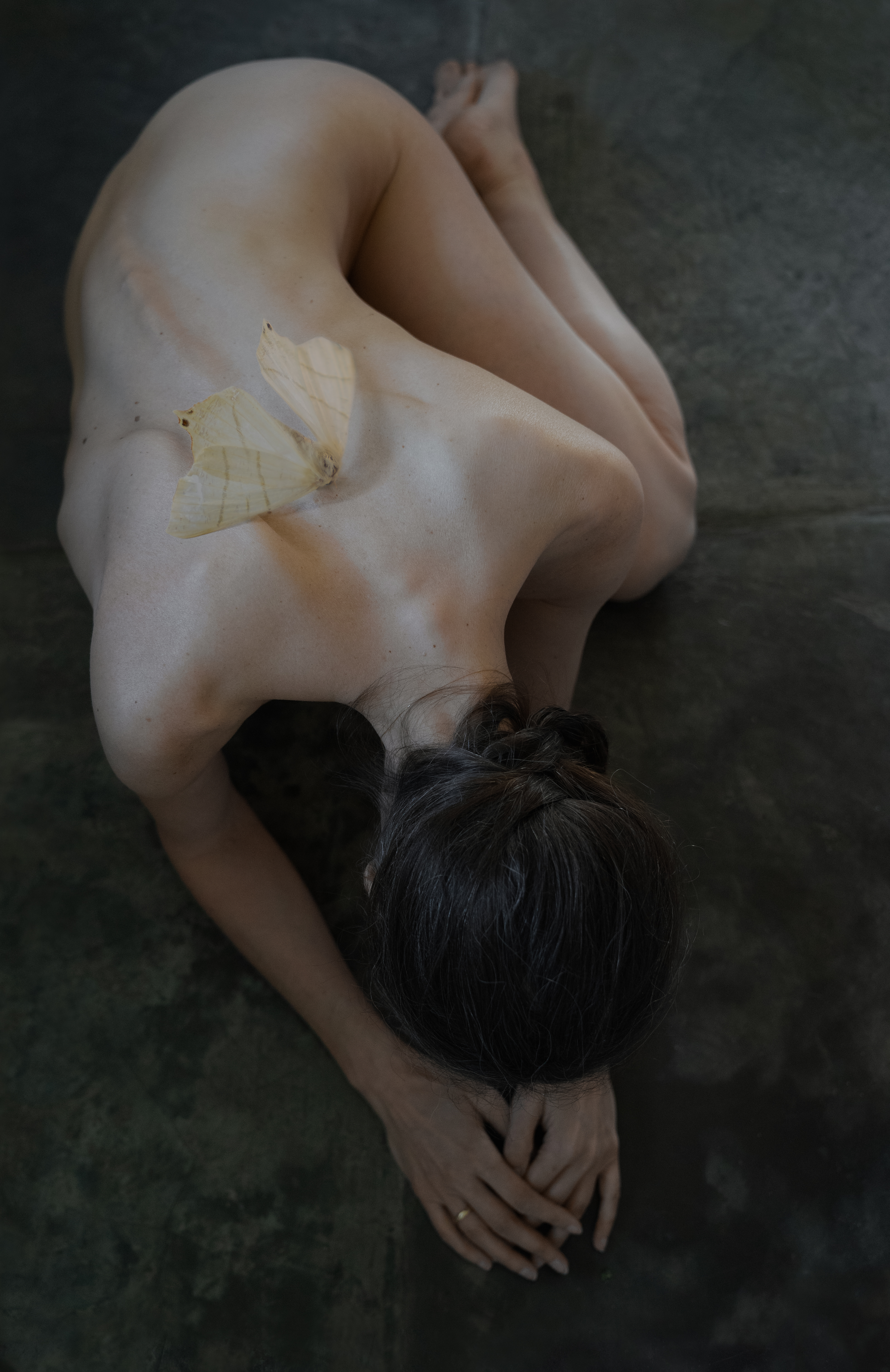 Metamorphosis