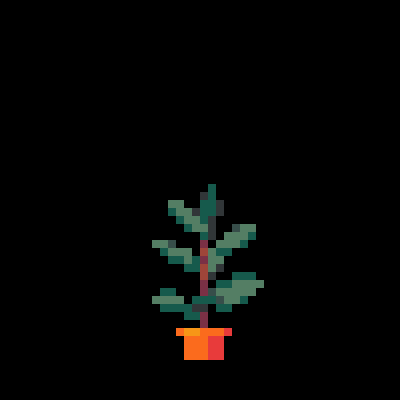 Rubber Tree