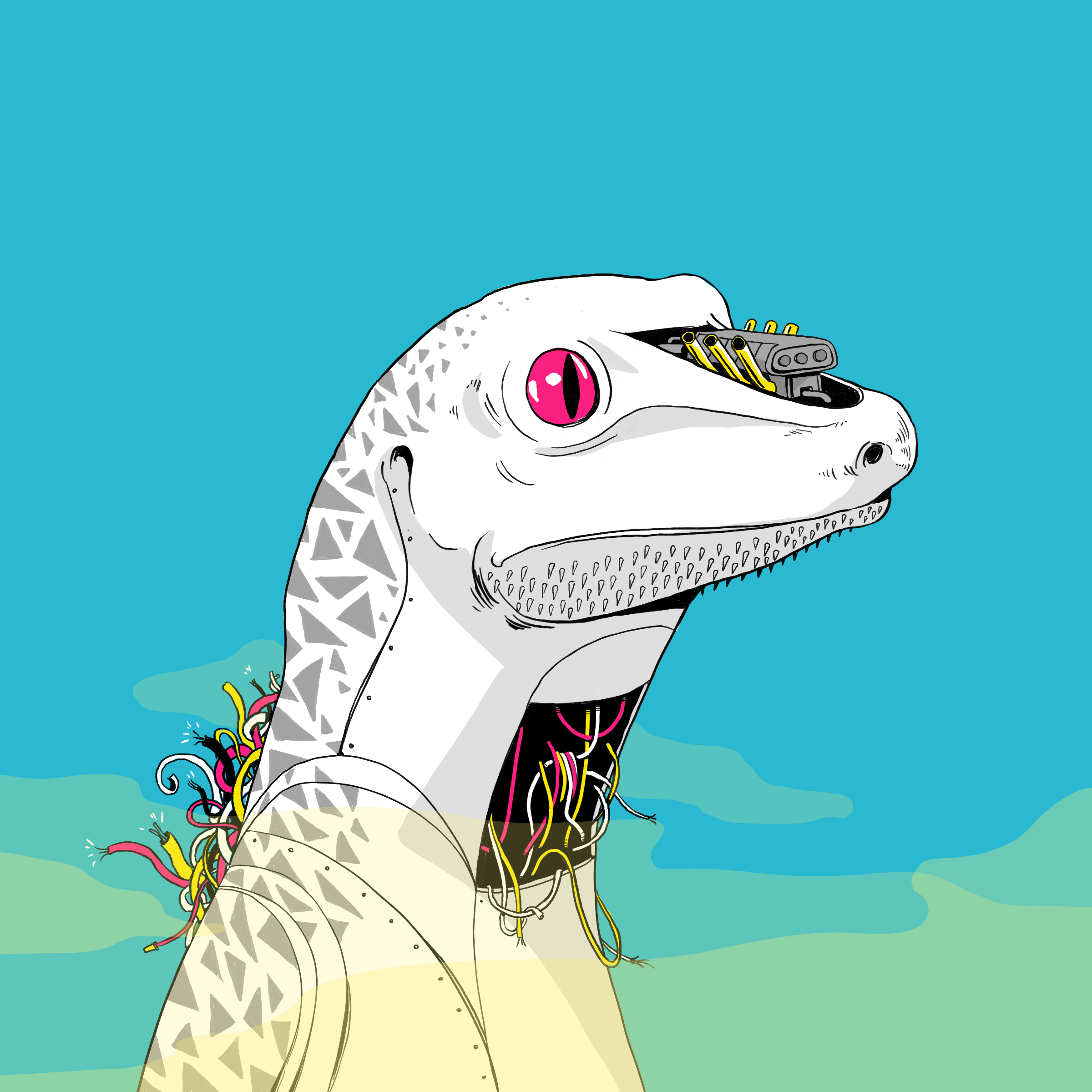 Lizard #2806