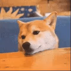 yyy
