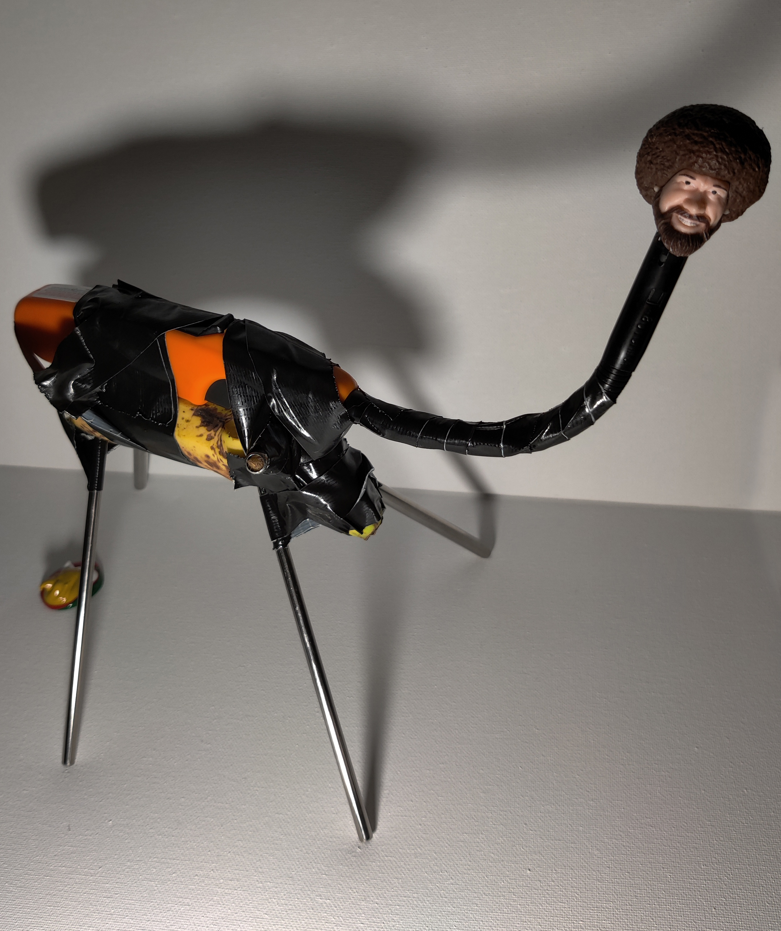 Bobosaurus