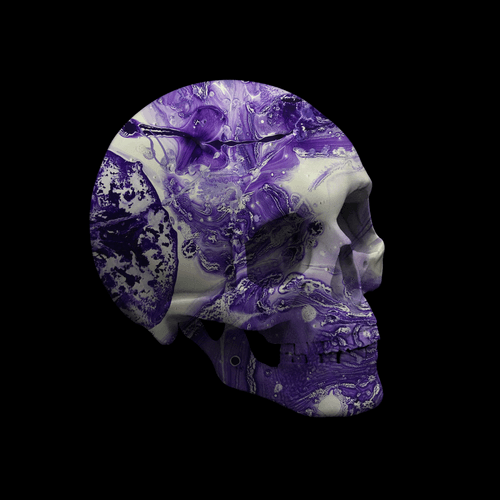 Skulls By Pierre #13