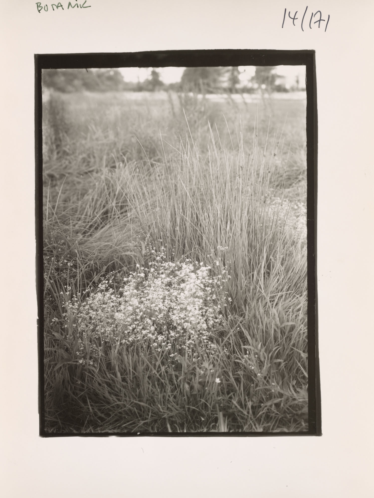 #461