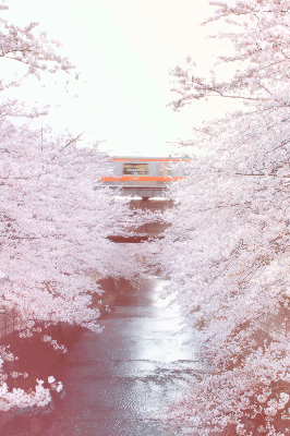 Kanda Gawa