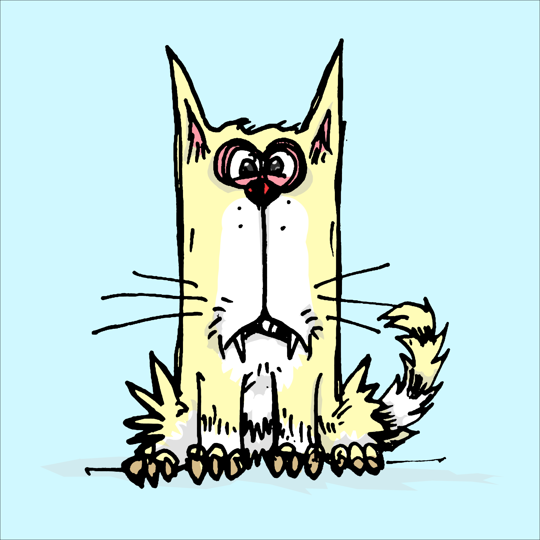 My Scruffy Cat 1015
