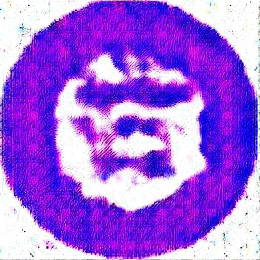 Shit Coin