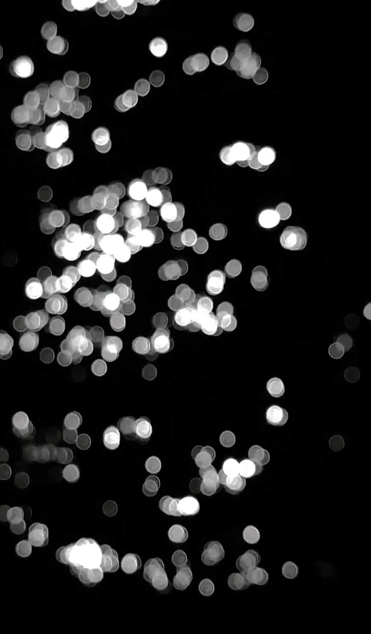 Effervescent Constituent of Being