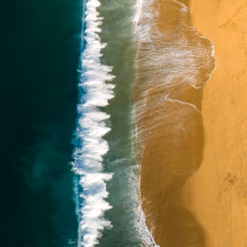 Linear Wave