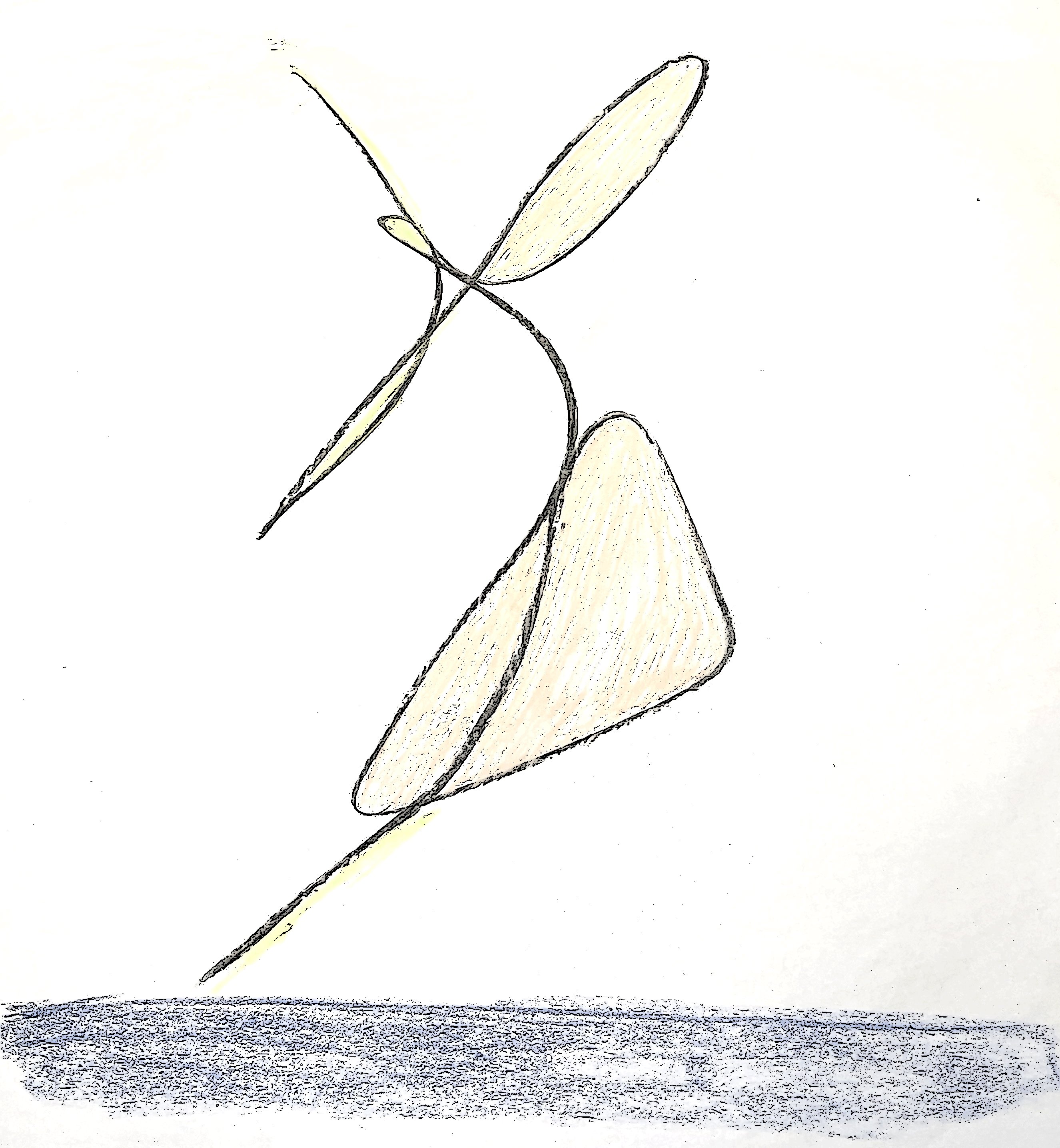 Dancer