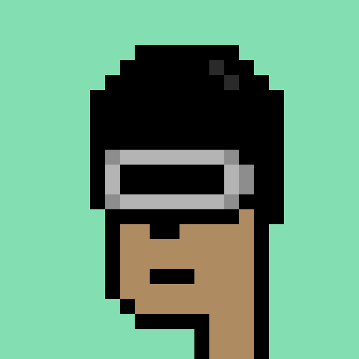 V3 Phunk #8333