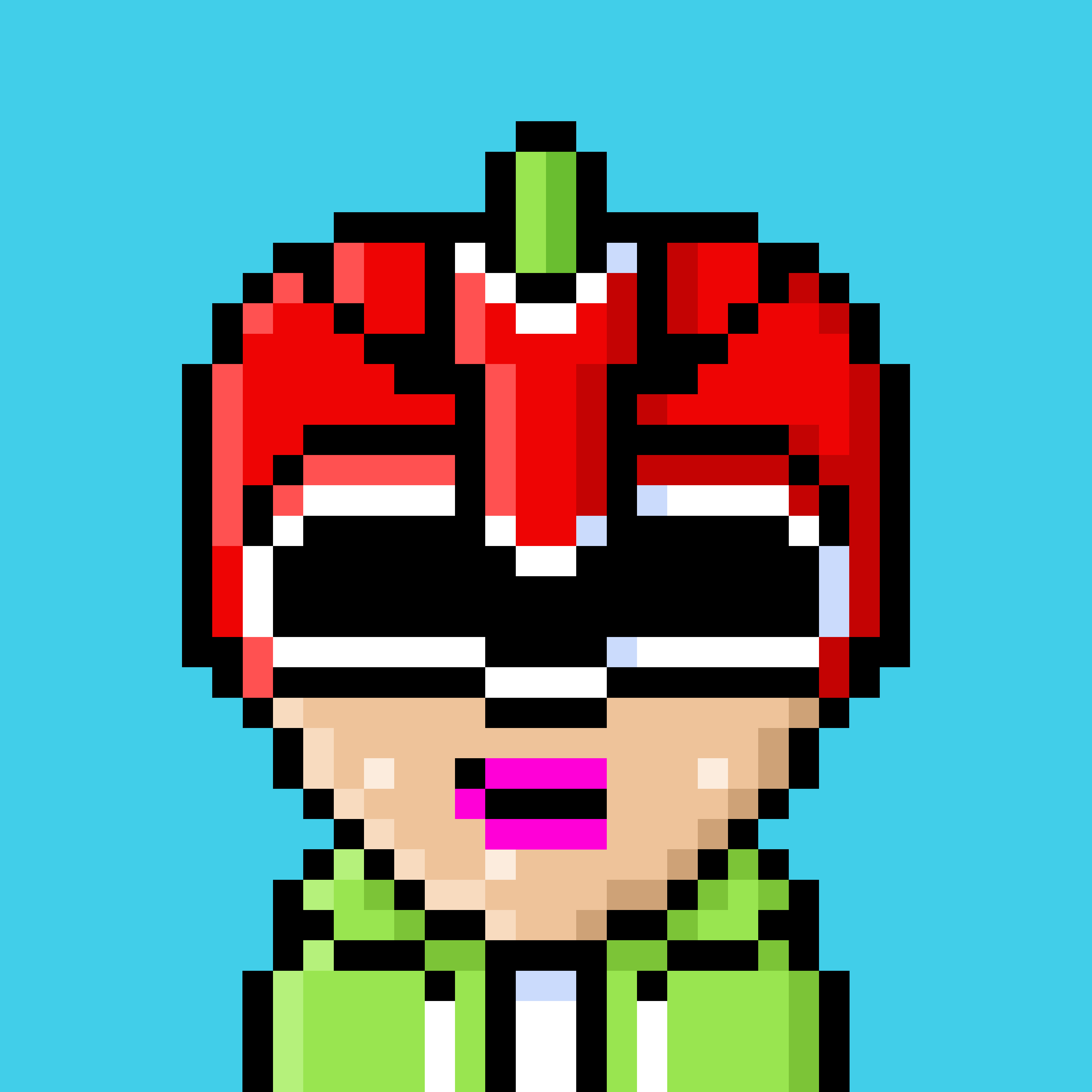 Strawberry #2656