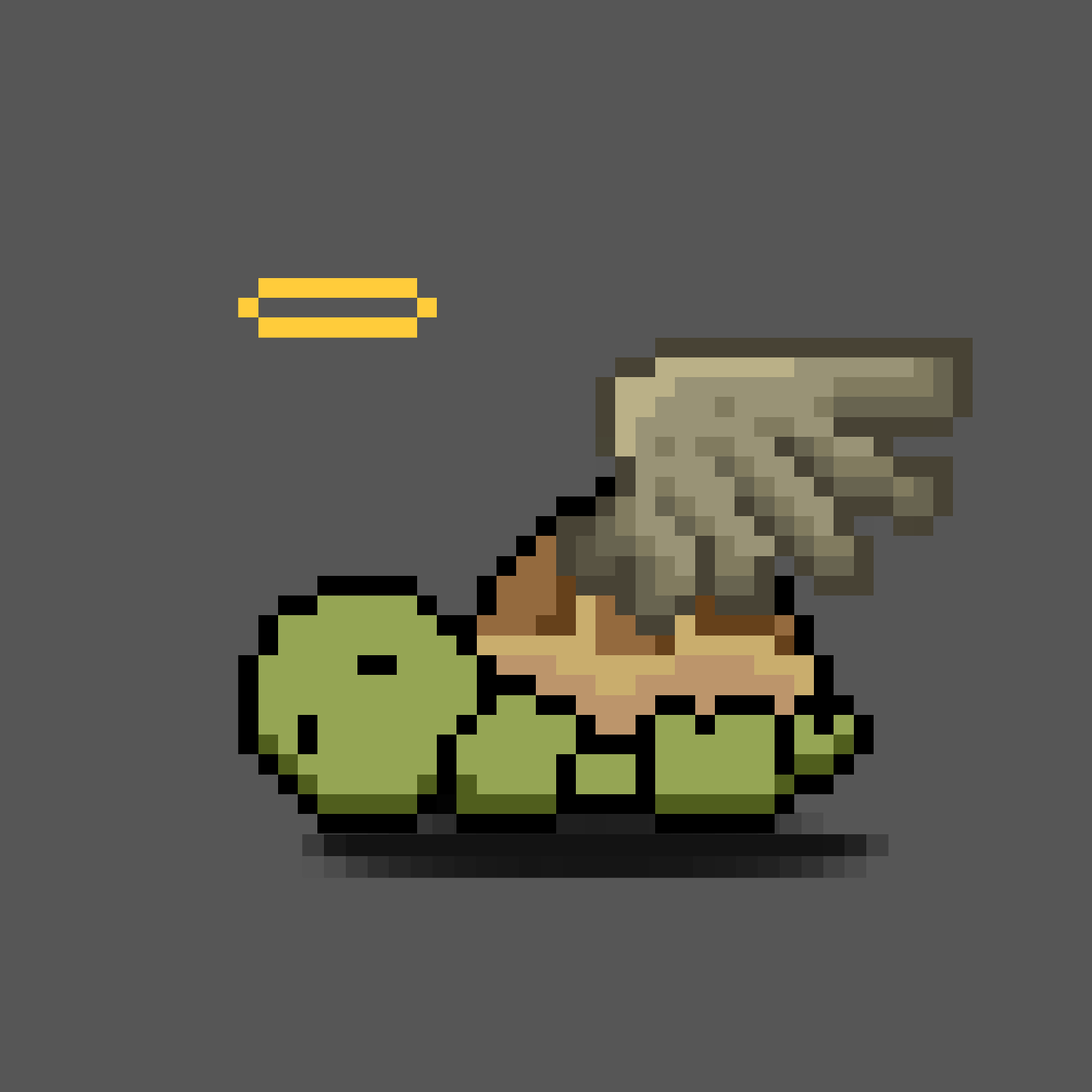 Turtle Moons #6332