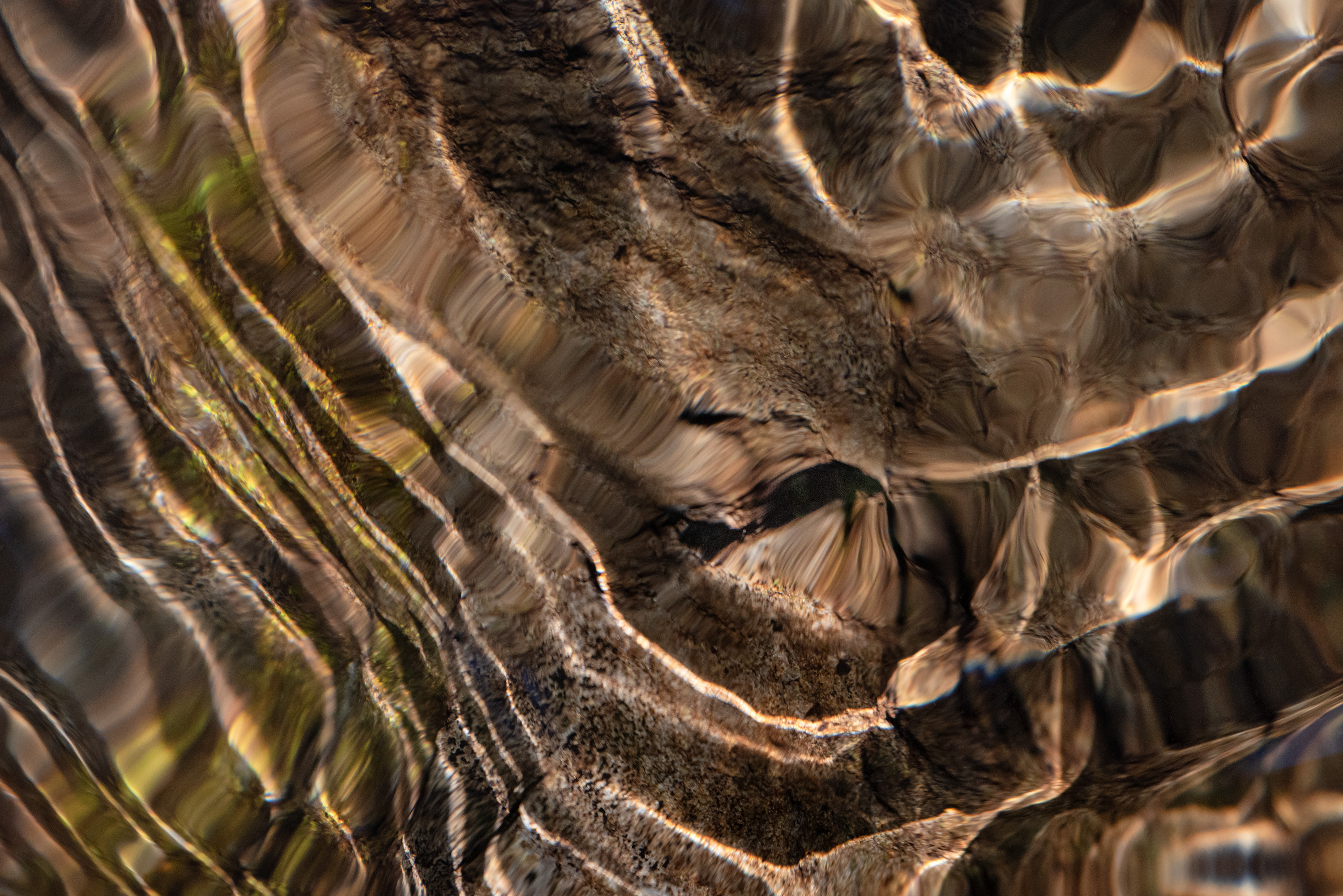 Ebb and Flow #63