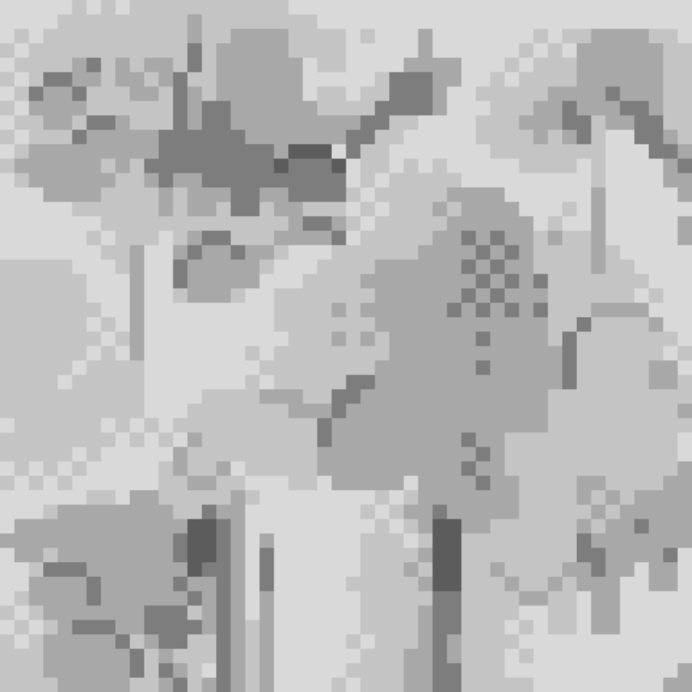 Cement 1