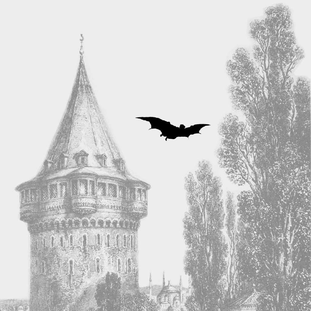Galata Tower_Silhouette #9